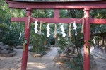 駒木諏訪神社o