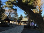 松陰神社g